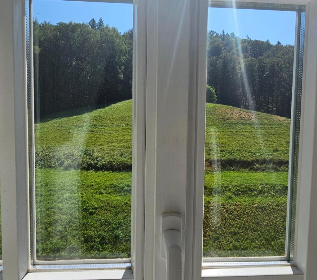 Grand Hotel Rogaska Premium Rogaška Slatina Dış mekan fotoğraf